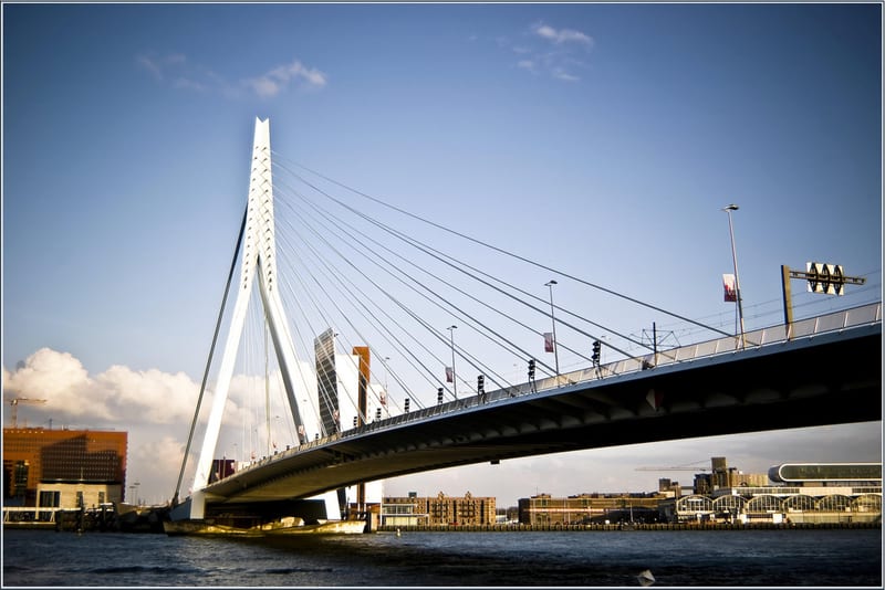Walking from Wilhelminapier into central Rotterdam
